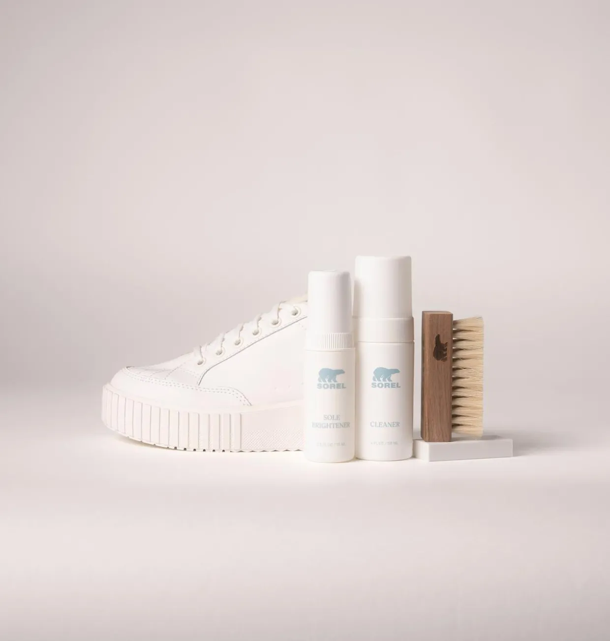 Essential Shoe Care Kit